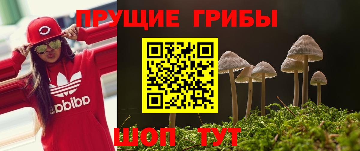 Псилоцибиновые грибы Cubensis  Вход с VPN  Псилоцибиновые грибы Psilocybe  Вятские Поляны 